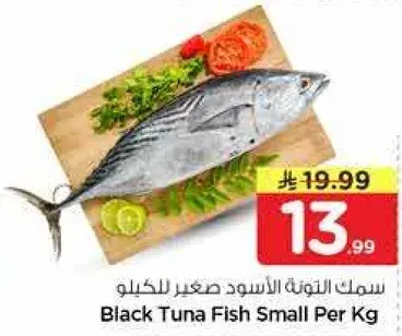 Black Tuna Fish Small Per Kg