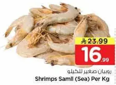 Shrimps Samll (Sea) Per Kg.