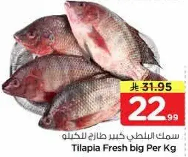 Tilapia Fresh big Per Kg.