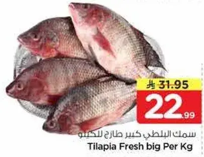 سمك البلطي كسر طازج للكيلو