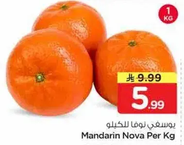 Mandarin Nova Per Kg