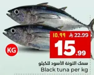 سمك التونه الاسود للكيلو