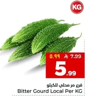 قرع مر محلي للكيلو