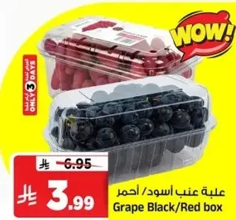 Grape Black/Red box