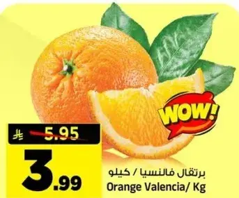 Orange Valencia/Kg