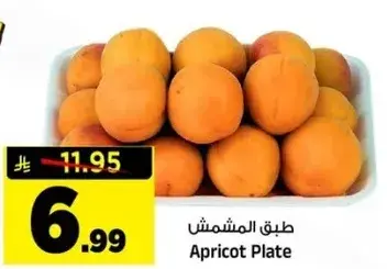 Apricot Plate