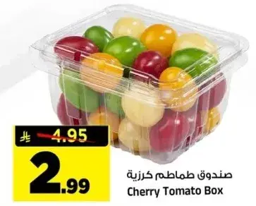 Cherry Tomato Box
