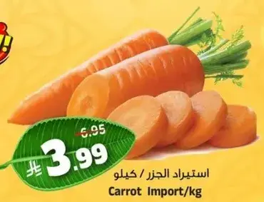 Carrot Import/Kg