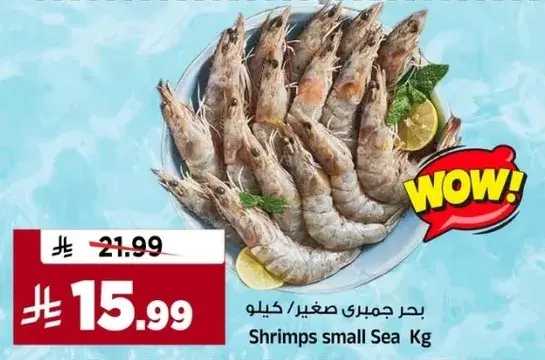 Shrimps small Sea Kg