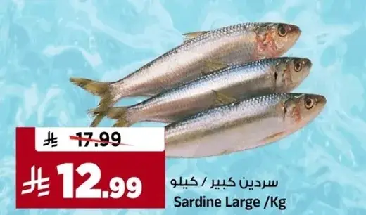 Sardine Large /Kg