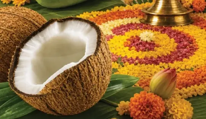 Fresh coconut available for Onam.