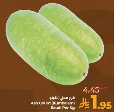Ash Gourd (Kumbalam) Saudi Per Kg