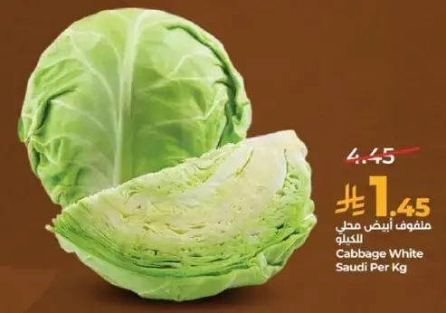 Cabbage White Saudi Per Kg