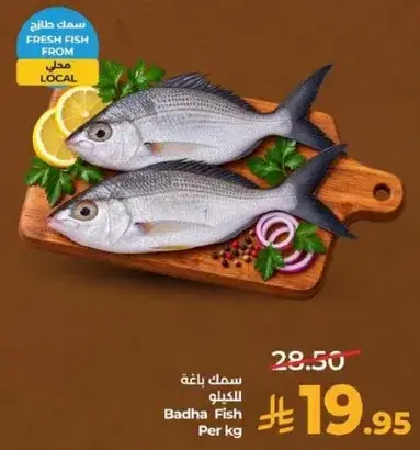 Badha Fish Per kg