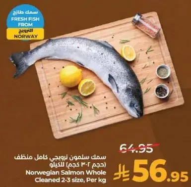 سمك سلمون نرويجي كامل منظم بالكيلو