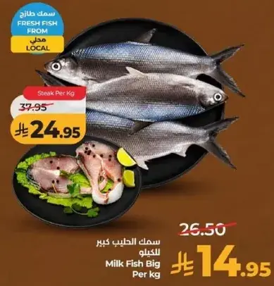 Milk Fish Big Per kg