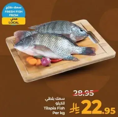 Tilapia Fish Per kg