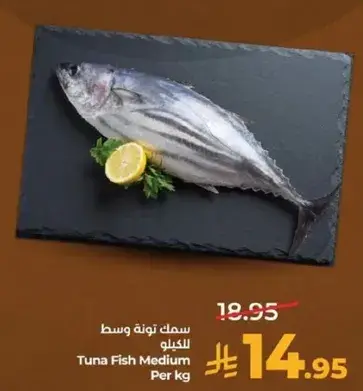 Tuna Fish Medium Per kg