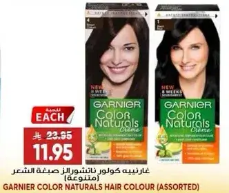 Garnier Color Naturals Hair Colour (Assorted)