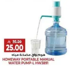 Homeway portable manual water pump