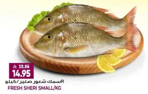 Fresh sheri small/kg.