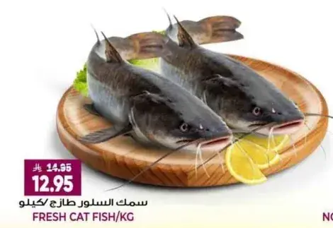 Fresh cat fish/kg.