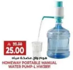 Homeway portable manual water pump