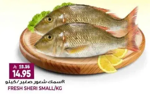 Fresh Sheri Small/KG