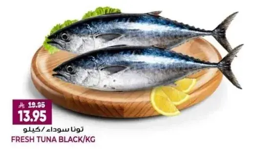 Fresh Tuna Black/KG