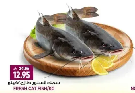 Fresh Cat Fish/KG