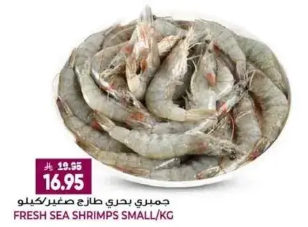 جمبري بحري طازج صغير/كيلو