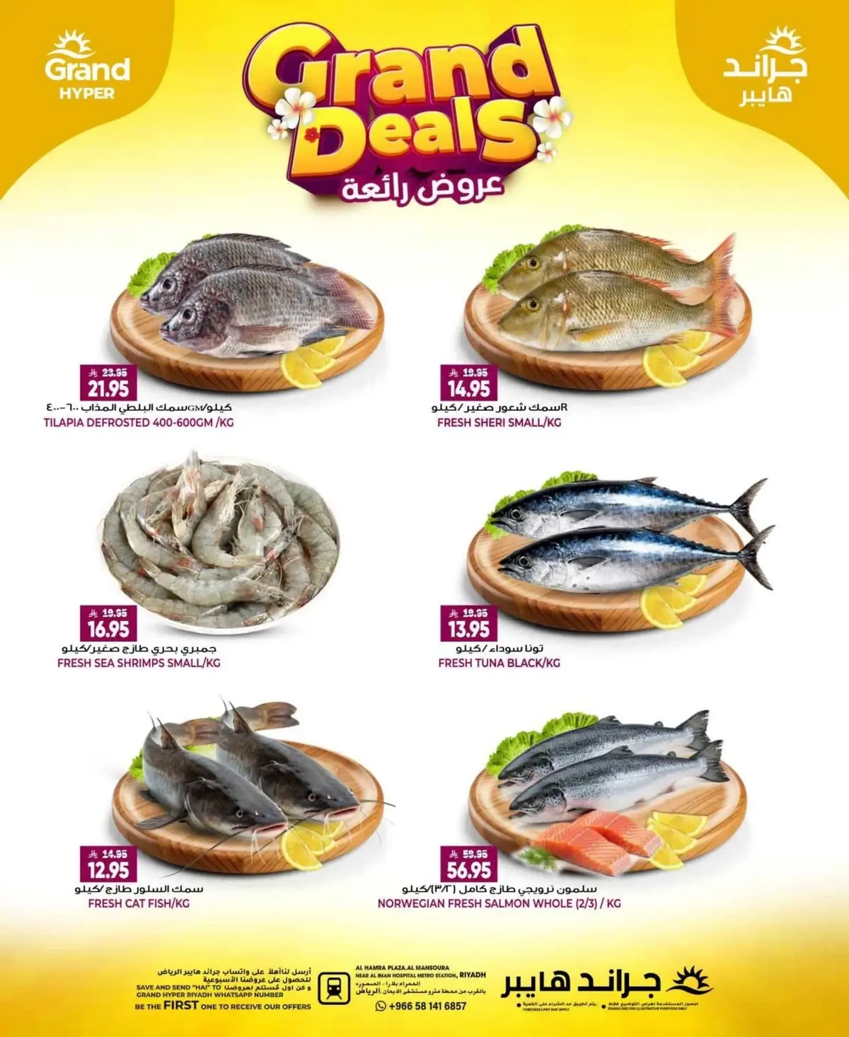 3 Days Offers - Page 4