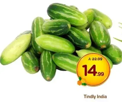 Tindly India