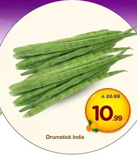 Drumstick India