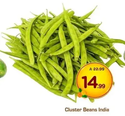 Cluster Beans India