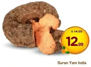 Suran Yam India