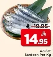 Sardine Per Kg