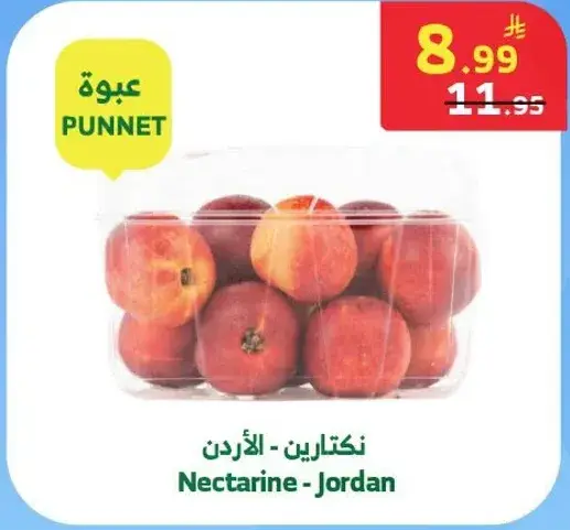 نكتارين - الاردن