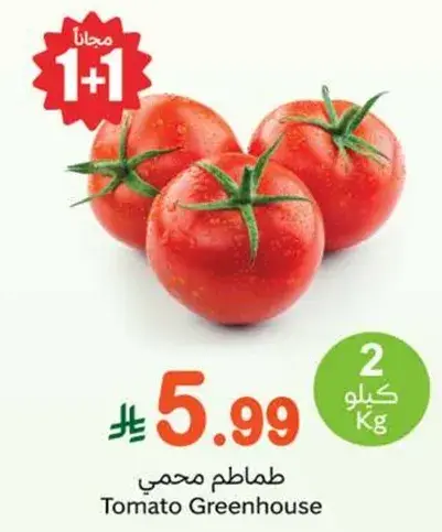 Tomato Greenhouse