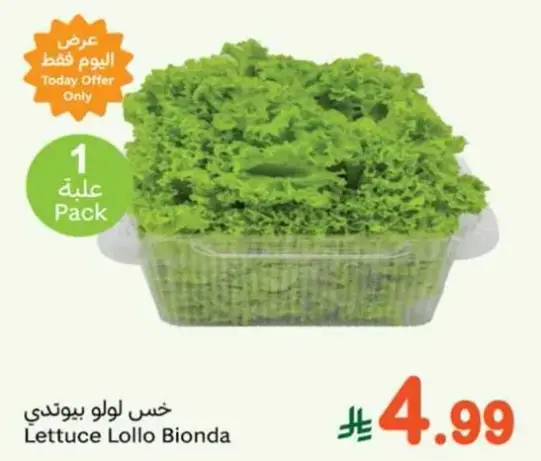 Lettuce Lollo Bionda