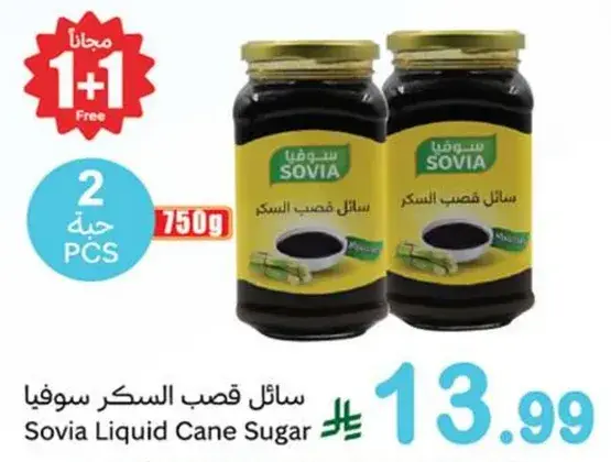 سايل قصب السكر سوفيا