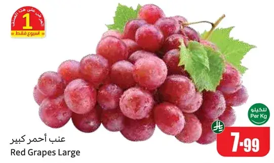 Red Grapes Large