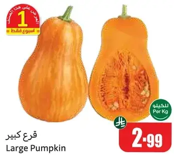 قرع كبير