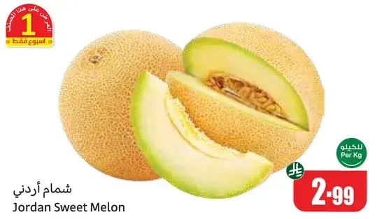 شمام اردني