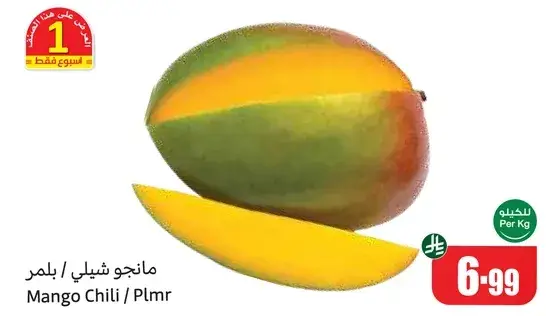 مانجو شيللي