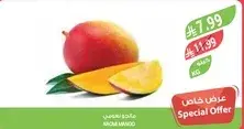 مانجو هندي.