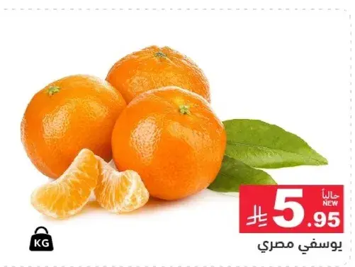 Egyptian mandarins