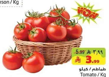 Tomato / Kg