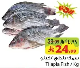 سمك بلطي / كيلو