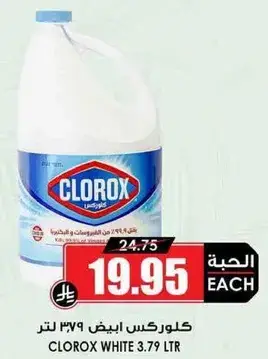 Clorox white 3.79 LTR